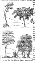 An illustration from Scientific American, Vol. 2, No. 44 (1847) (1847)