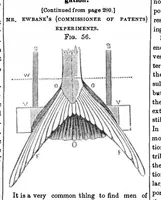 Picture 5 of 6 from Scientific American, Vol. 5, No. 36 (1850) (1850), leaf 7