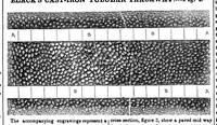 Picture 2 of 3 from Scientific American, Vol. 6, No. 50 (1851) (1851), leaf 0