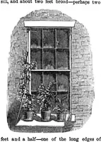 Picture 6 of 6 from Scientific American, Vol. 12, No. 41 (1857) (1857), leaf 7