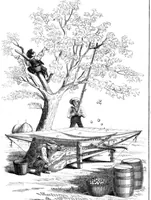 Picture 5 of 5 from Scientific American, Vol. 13, No. 40 (1858) (1858), leaf 7