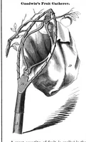 Picture 6 of 6 from Scientific American, Vol. 13, No. 46 (1858) (1858), leaf 7