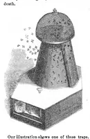 Picture 4 of 4 from Scientific American, Vol. 14, No. 42 (1859) (1859), leaf 3