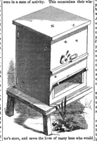 An illustration from Scientific American, Vol. 1, No. 8 (1859) (1859)