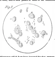 Picture 2 of 7 from Scientific American, Vol. 2, No. 4 (1860) (1860), leaf 0