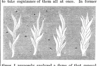 Picture 3 of 8 from Scientific American, Vol. 4, No. 7 (1861) (1861), leaf 1