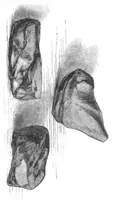 An illustration from Scientific American, Vol. 4, No. 20 (1861) (1861)