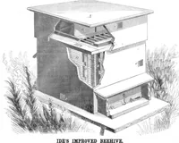 Picture 6 of 7 from Scientific American, Vol. 4, No. 24 (1861) (1861), leaf 15