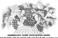 Picture 3 of 6 from Scientific American, Vol. 5, No. 22 (1861) (1861), leaf 6