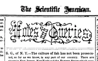 Picture 4 of 6 from Scientific American, Vol. 9, No. 9 (1863) (1863), leaf 13