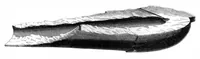 An illustration from Scientific American, Vol. 9, No. 21 (1863) (1863)