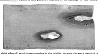 An illustration from Scientific American, Vol. 10, No. 2 (1864) (1864)