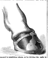 An illustration from Scientific American, Vol. 12, No. 6 (1865) (1865)