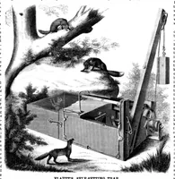 Picture 1 of 6 from Scientific American, Vol. 13, No. 2 (1865) (1865), leaf 0
