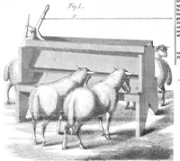 An illustration from Scientific American, Vol. 13, No. 24 (1865) (1865)