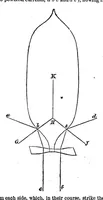 Picture 4 of 6 from Scientific American, Vol. 13, No. 25 (1865) (1865), leaf 5