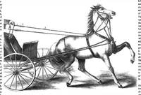 An illustration from Scientific American, Vol. 14, No. 5 (1866) (1866)