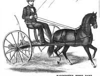 An illustration from Scientific American, Vol. 14, No. 5 (1866) (1866)