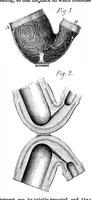 An illustration from Scientific American, Vol. 14, No. 19 (1866) (1866)
