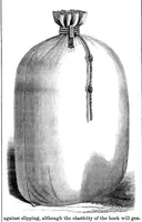 Picture 6 of 11 from Scientific American, Vol. 16, No. 8 (1867) (1867), leaf 4
