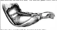 An illustration from Scientific American, Vol. 16, No. 20 (1867) (1867)