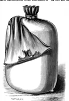 Picture 6 of 10 from Scientific American, Vol. 17, No. 3 (1867) (1867), leaf 4