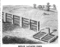 Picture 3 of 8 from Scientific American, Vol. 17, No. 21 (1867) (1867), leaf 4