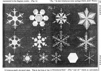 An illustration from Scientific American, Vol. 18, No. 8 (1868) (1868)