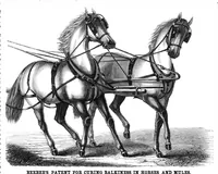 Picture 5 of 7 from Scientific American, Vol. 18, No. 10 (1868) (1868), leaf 7
