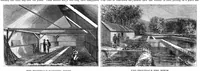 Picture 3 of 9 from Scientific American, Vol. 19, No. 1 (1868) (1868), leaf 4
