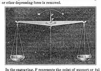 Picture 4 of 7 from Scientific American, Vol. 19, No. 7 (1868) (1868), leaf 3