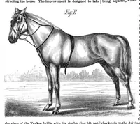 An illustration from Scientific American, Vol. 21, No. 1 (1869) (1869)