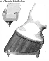Picture 7 of 8 from Scientific American, Vol. 21, No. 13 (1869) (1869), leaf 7