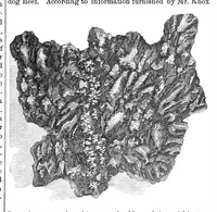 Picture 3 of 8 from Scientific American, Vol. 21, No. 17 (1869) (1869), leaf 3