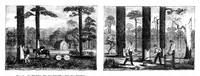 An illustration from Scientific American, Vol. 22, No. 12 (1870) (1870)
