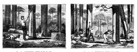 Picture 4 of 11 from Scientific American, Vol. 22, No. 12 (1870) (1870), leaf 3