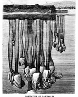 Picture 2 of 11 from Scientific American, Vol. 22, No. 16 (1870) (1870), leaf 3