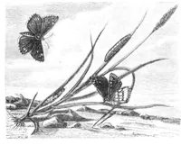 An illustration from Scientific American, Vol. 23, No. 4 (1870) (1870)