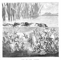 An illustration from Scientific American, Vol. 23, No. 13 (1870) (1870)