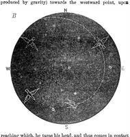 Picture 3 of 11 from Scientific American, Vol. 24, No. 13 (1871) (1871), leaf 3