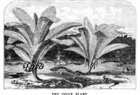 Picture 1 of 7 from Scientific American, Vol. 24, No. 16 (1871) (1871), leaf 3