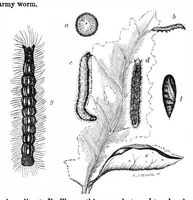 Picture 4 of 9 from Scientific American, Vol. 24, No. 19 (1871) (1871), leaf 3