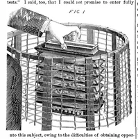 Picture 5 of 9 from Scientific American, Vol. 25, No. 7 (1871) (1871), leaf 4