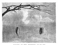 Picture 4 of 9 from Scientific American, Vol. 25, No. 9 (1871) (1871), leaf 3