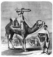 Picture 1 of 11 from Scientific American, Vol. 26, No. 10 (1872) (1872), leaf 0