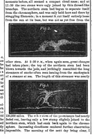 An illustration from Scientific American, Vol. 26, No. 12 (1872) (1872)