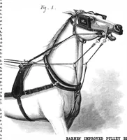 An illustration from Scientific American, Vol. 26, No. 21 (1872) (1872)