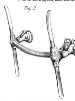 An illustration from Scientific American, Vol. 26, No. 21 (1872) (1872)