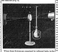 Picture 4 of 13 from Scientific American, Vol. 26, No. 24 (1872) (1872), leaf 3
