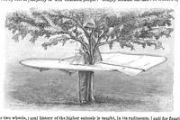 An illustration from Scientific American, Vol. 27, No. 5 (1872) (1872)